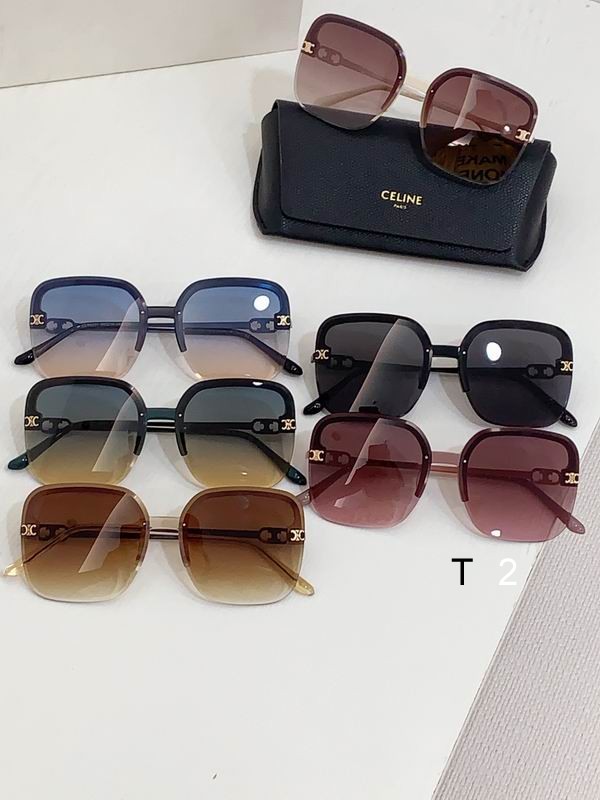 CELINE CL40251 60 14-145 b09